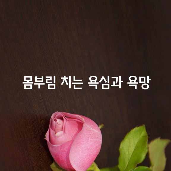 내 마음 대로 안되는 일은