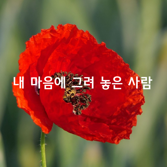 내 마음에 그려 놓은 사람 / 용혜원