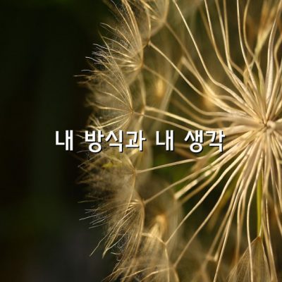 내 방식과 내 생각