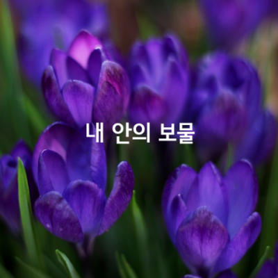 내 안의 보물