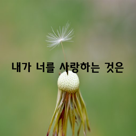 내가 너를 사랑하는 것은 / 조명준