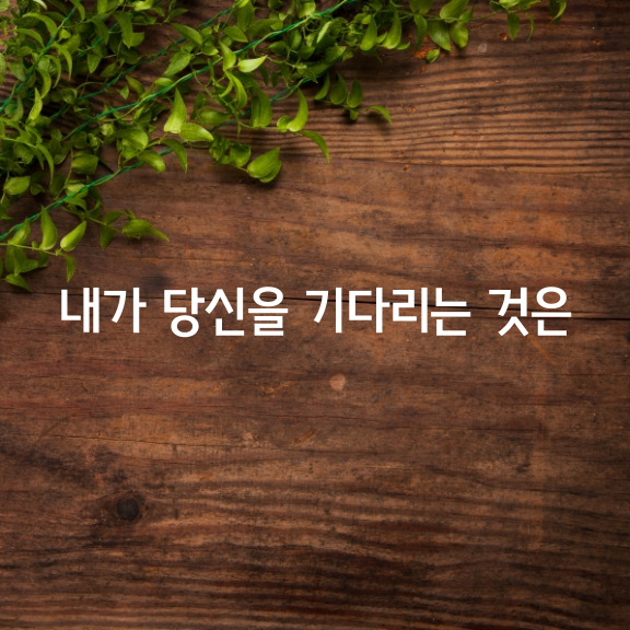 내가 당신을 기다리는 것은