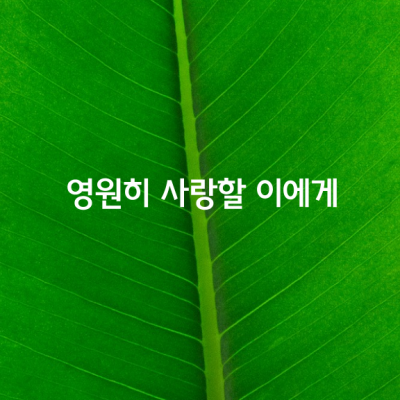 내가 영원히 사랑할 이에게