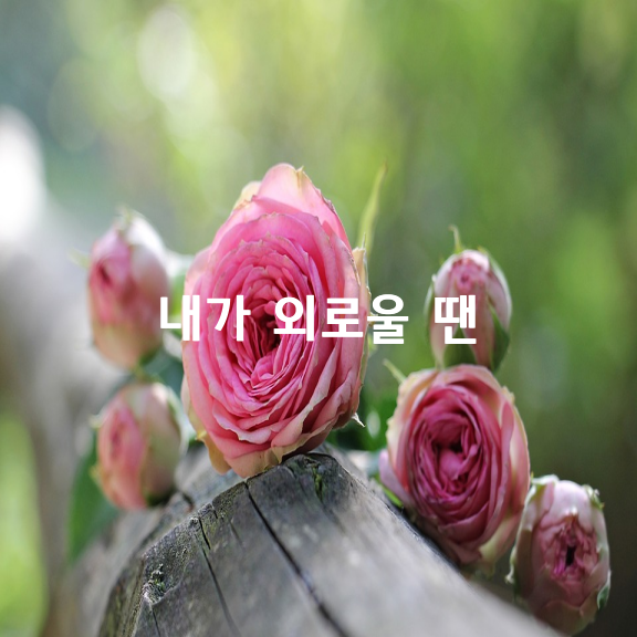 내가 외로울 땐 / 이해인