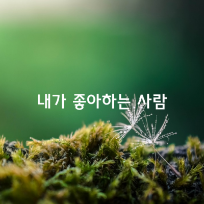 내가 좋아하는 사람 / 나태주