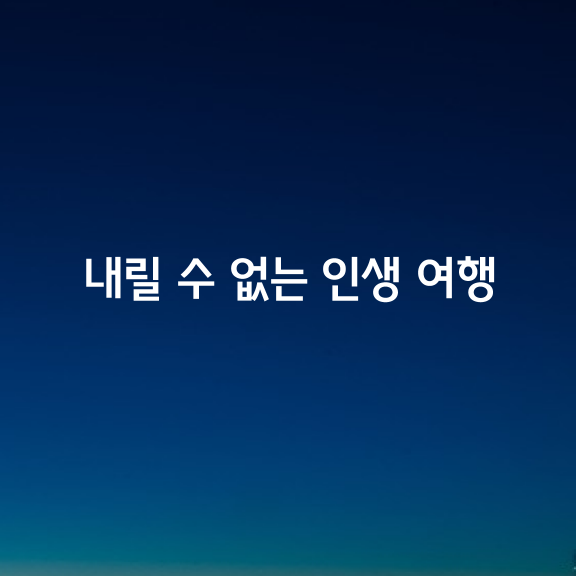 내릴 수 없는 인생 여행