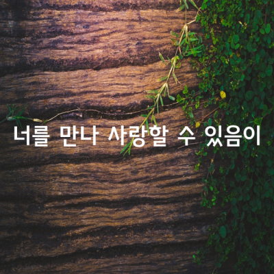 너를 만나 사랑할 수 있음이 / 용혜원