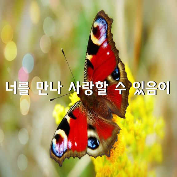 너를 만나 사랑할 수 있음이