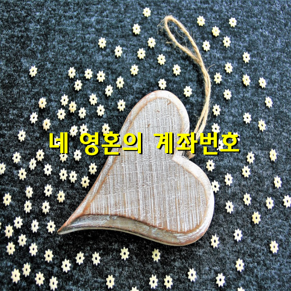 네 영혼의 계좌번호 / 이복희