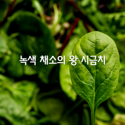 녹색 채소의 왕 시금치의 5가지 효능