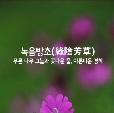 녹음방초ㅣ綠陰芳草