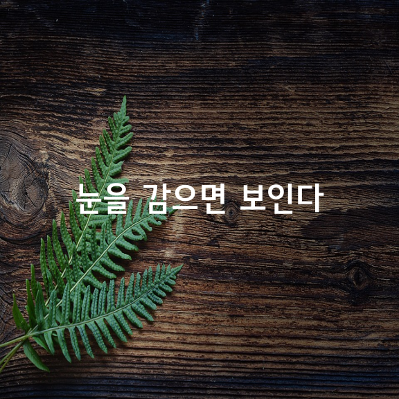 눈을 감으면 보인다 / 송정림