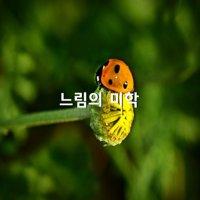 느림의 미학