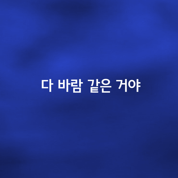 다 바람 같은 거야