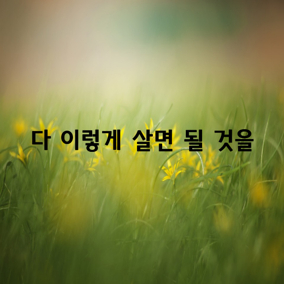 다 이렇게 살면 될 것을