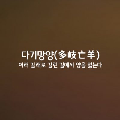 다기망양ㅣ多岐亡羊