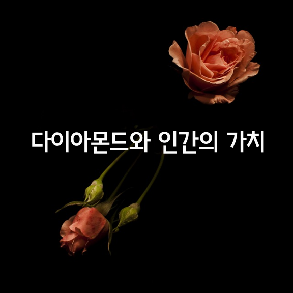 다이아몬드와 인간의 가치