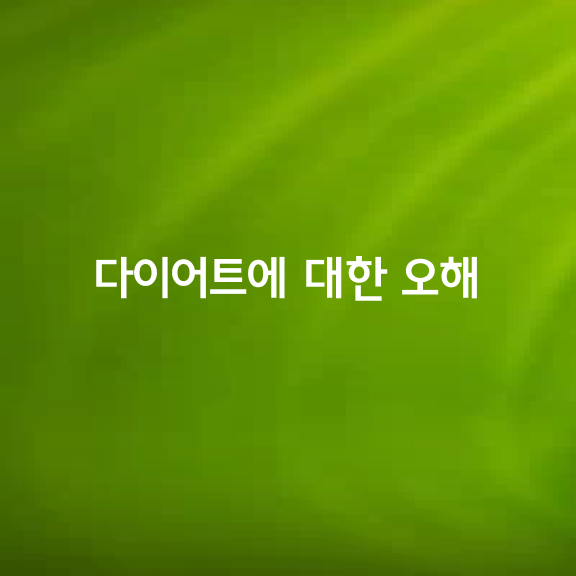 다이어트에 대한 오해