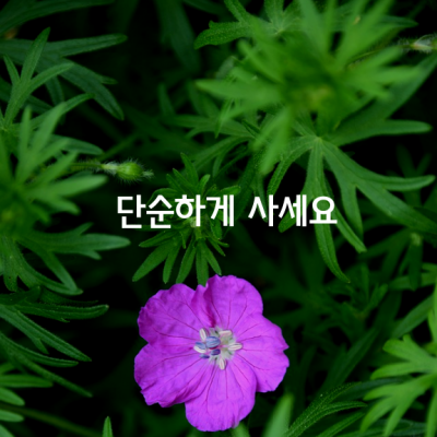 단순하게 사세요