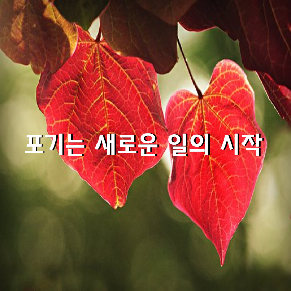 닫힌 문을 너무 오랫동안 쳐다보고 있으면 열려 있는 등 뒤의 문을 보지 못한다