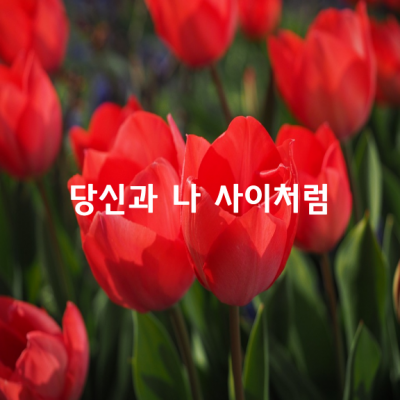 당신과 나 사이처럼