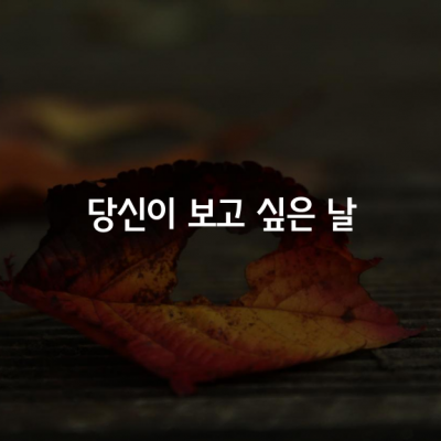 당신이 보고 싶은 날