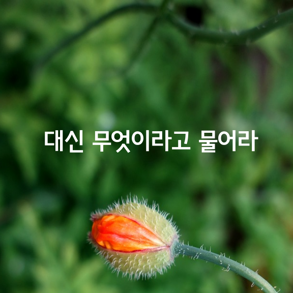 대신 ‘무엇’이라고 물어라