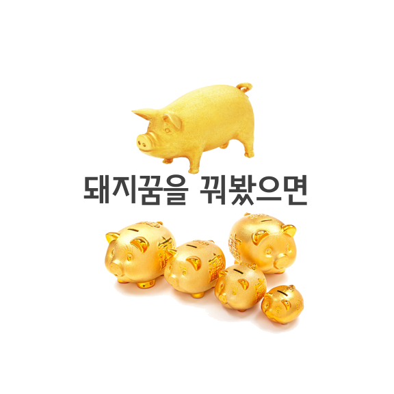 돼지꿈