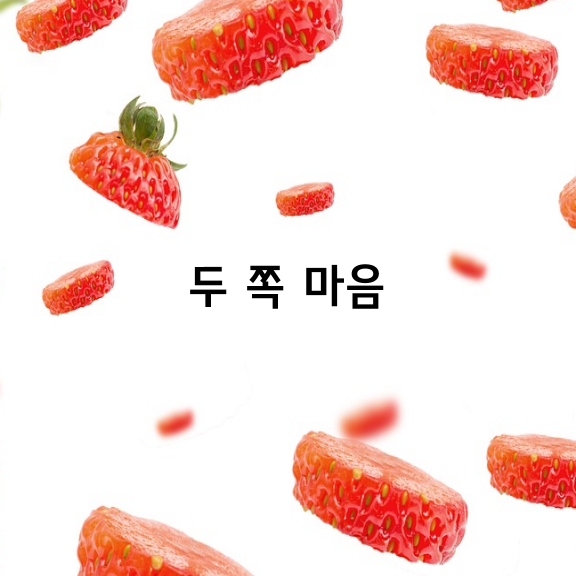 두 쪽 마음 / 손명찬