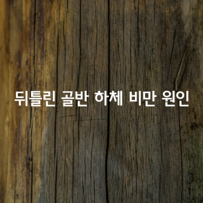 뒤틀린 골반은 하체 비만의 원인