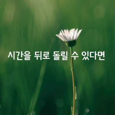 딱 십 년만 시간을 뒤로 돌릴 수 있다면, 우리는 전혀 다른 길로 걸어가서 지금과는 전혀 다른 사람이 될 수 있을까?