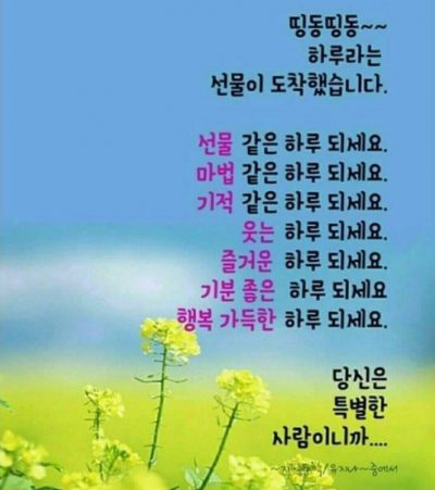 띵동~~하루라는 선물이 도착했습니다!