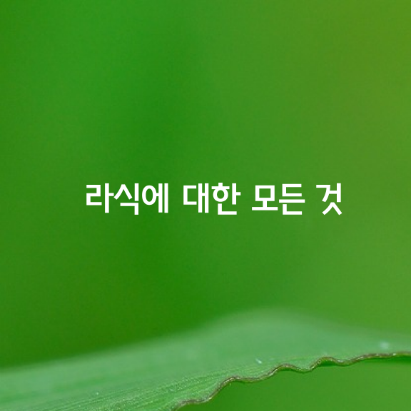 라식에 대한 모든 것