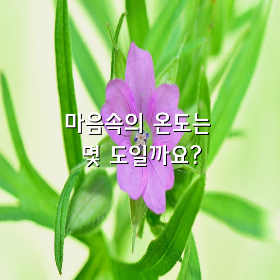 마음속의 온도는 몇 도일까요?