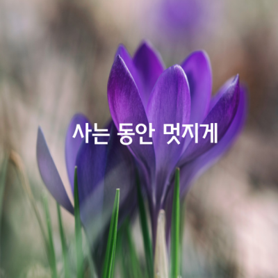 마음으로 고맙다고