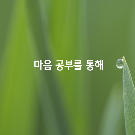 마음을 제대로 쓰지 않으면