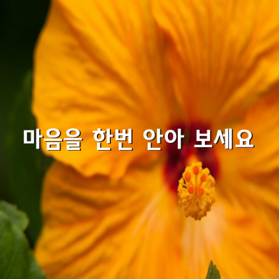 마음을 한번 안아 보세요