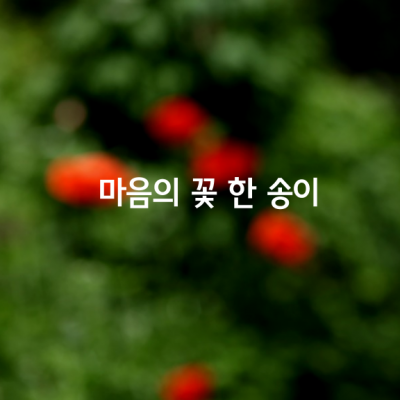 마음의 꽃