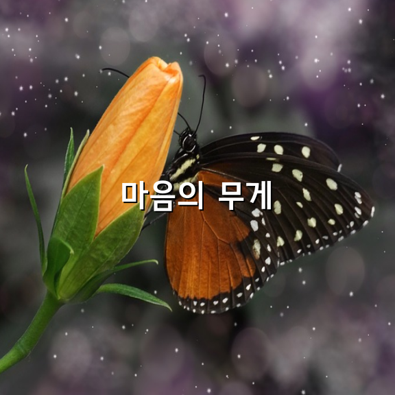 마음의 무게