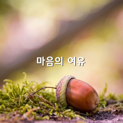 마음의 여유