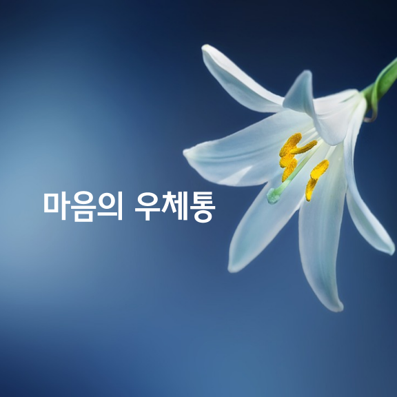 마음의 우체통