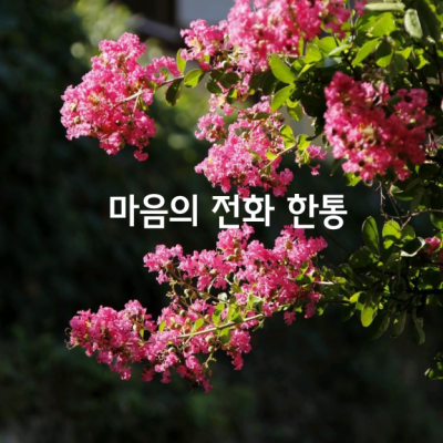 마음의 전화 한통이 기다려져요