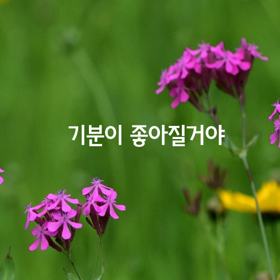 마음이 아픈 날엔