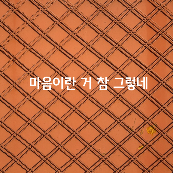 마음이란 거 참 그렇네