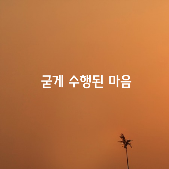 마치 성글게 이은 지붕에