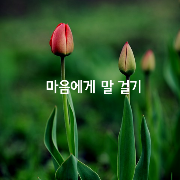 만약 당신도