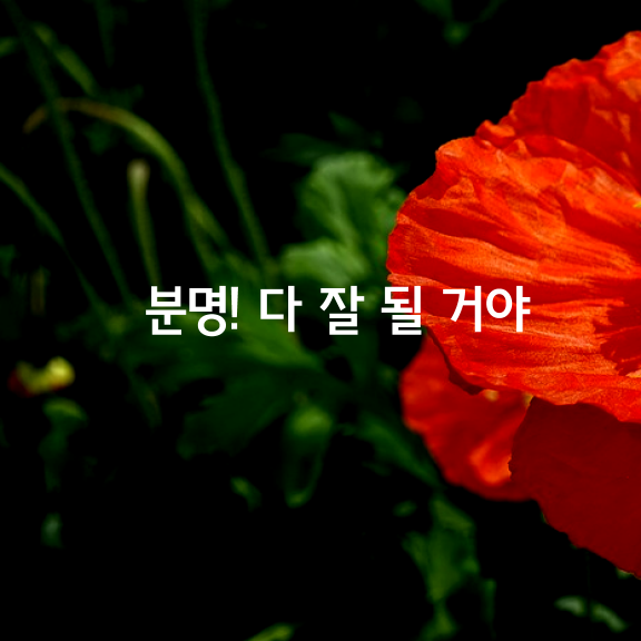 많은 사람들이 필사적으로