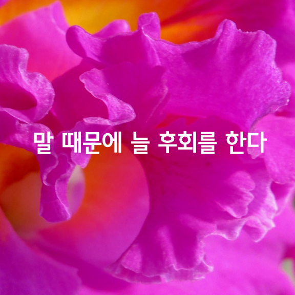 말 때문에 늘 후회를 한다