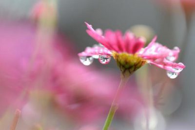 맑고 좋은 생각만 하면 좋겠습니다.