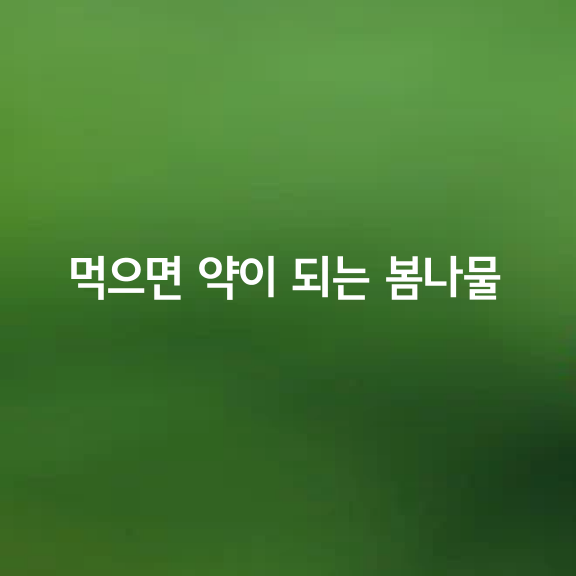 먹으면 약이 되는 봄나물